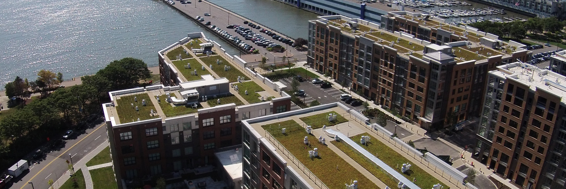 VEGETATIVE ROOFING