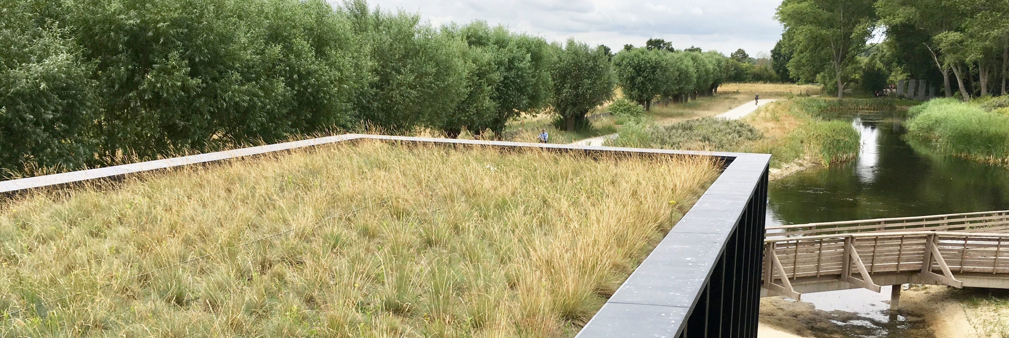 Green roof aerial view Het Zwin